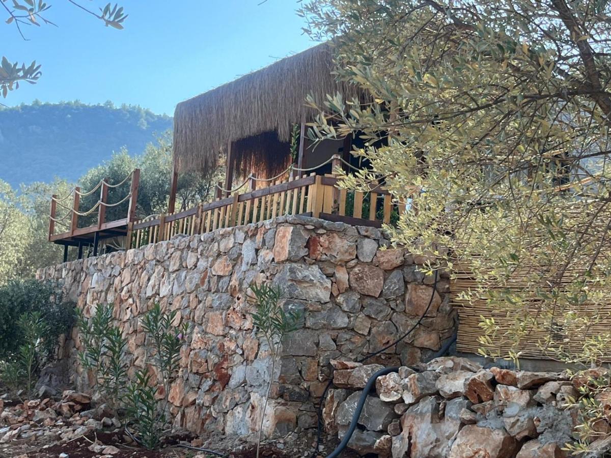 Lovin Goecek Tiny House Butterfly Gokceovacik Exterior foto